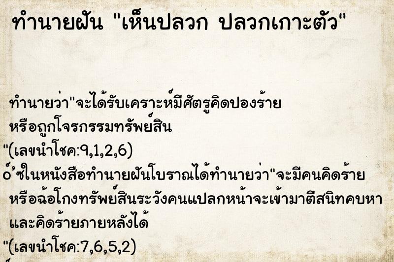 ทำนายฝันเห็นปลวกปลวกเกาะตัว ทำนายฝันทำนายฝันเห็นปลวกปลวกเกาะตัว